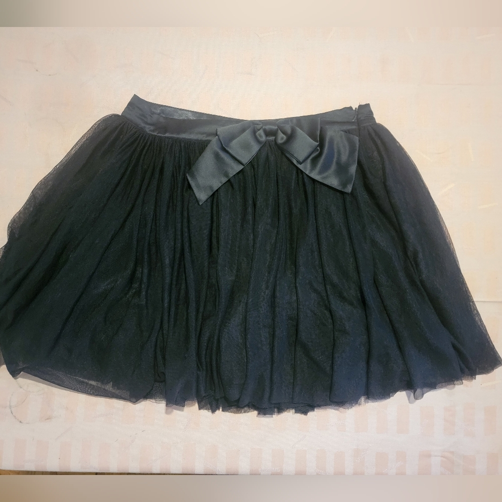 Forever 21 Tulle Skirt (lined)